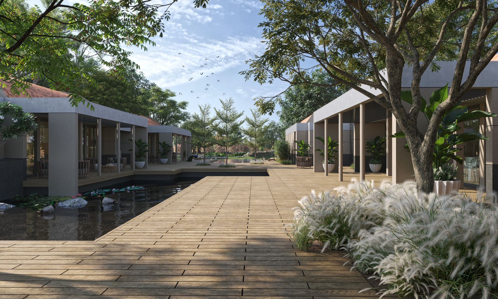 Timber walkway between Lake Side amenities and bungalows